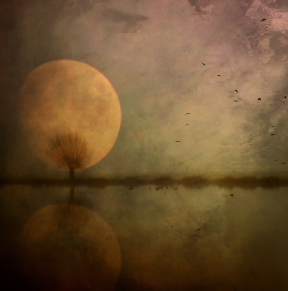 Mystical Moon Reflection by Robert Fabrowski — canvas wall art