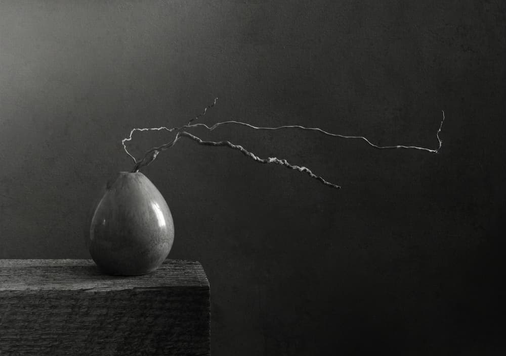Monochrome Pear and Branch by Margaret Halaby — canvas wall art