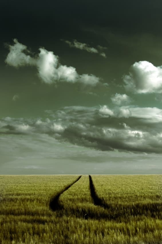 Dramatic Sky Field Tracks by Niels Christian Wulff — canvas wall art