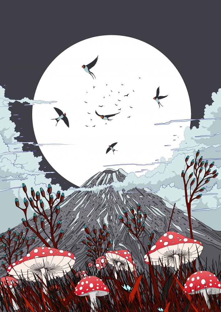 Moonlit Mountain Mushrooms by Nicholas — canvas wall art