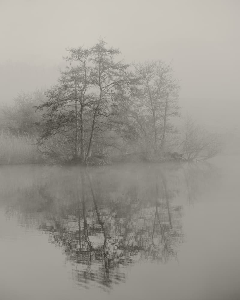 Misty Trees Reflection by By PEJ — canvas wall art