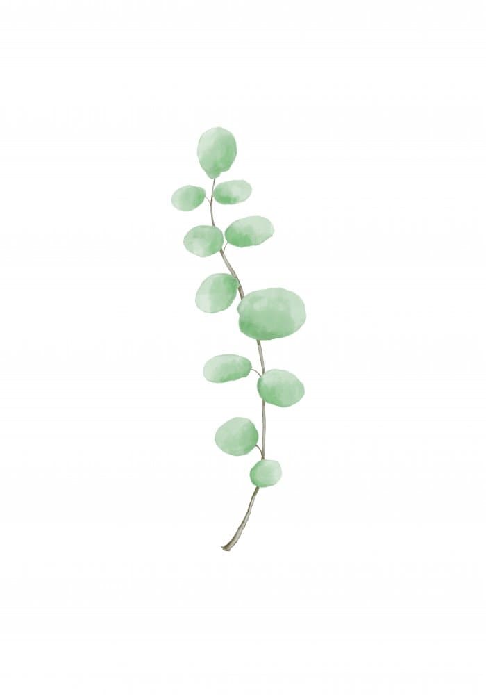 Delicate Green Leaves by Pictufy Studio II — canvas wall art