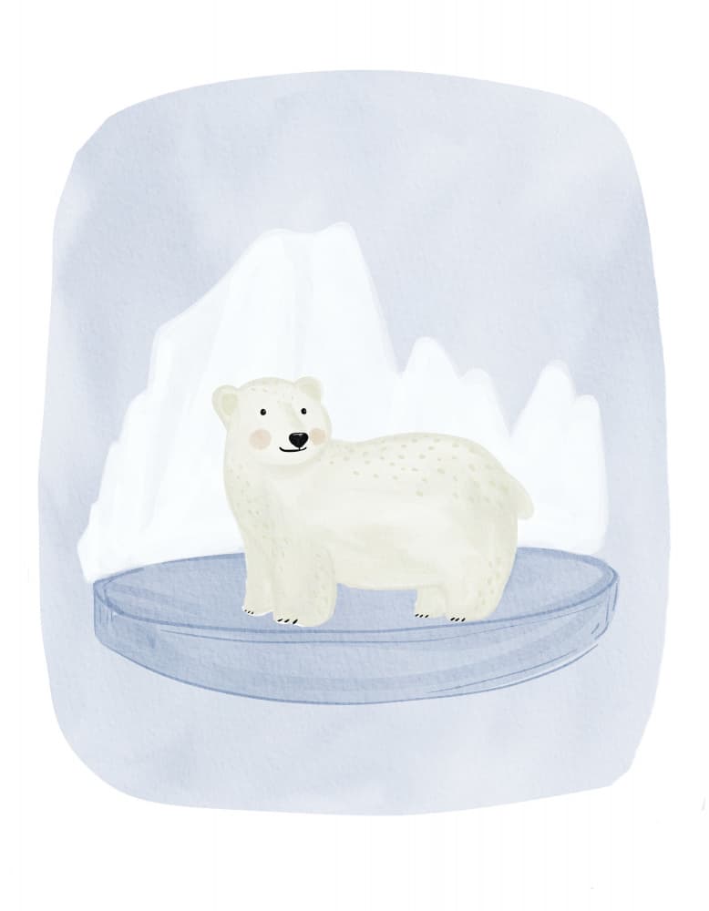 Cute Arctic Bear by Nikita Jariwala — canvas wall art