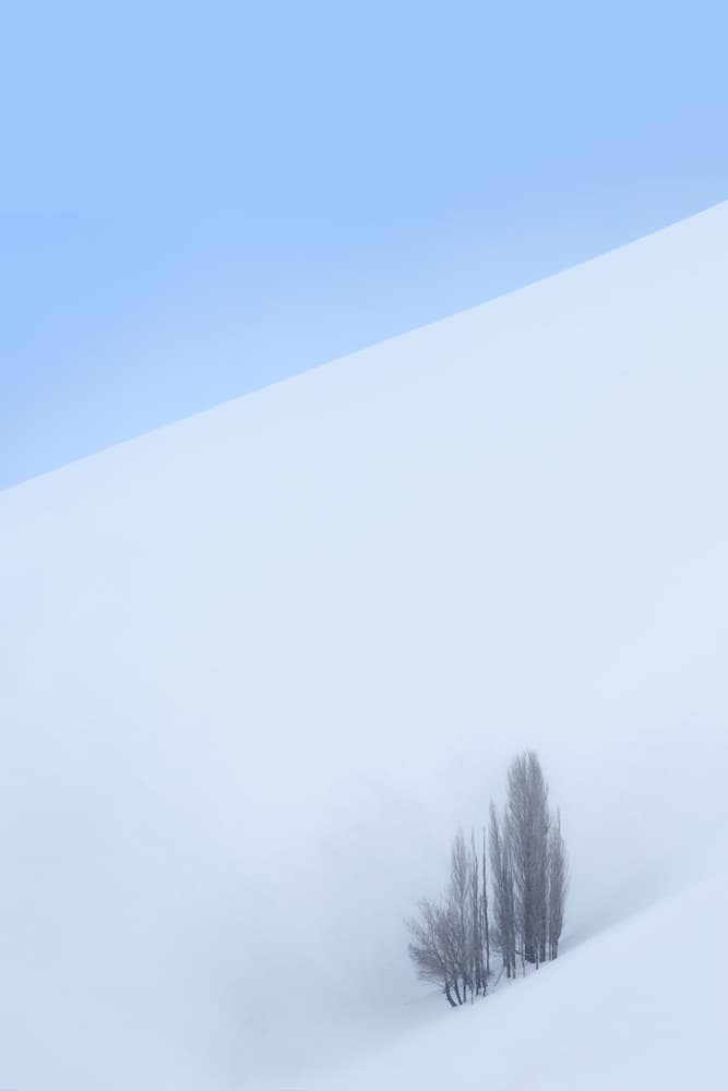 Bare Trees Snowy Hill by Majid Behzad — canvas wall art