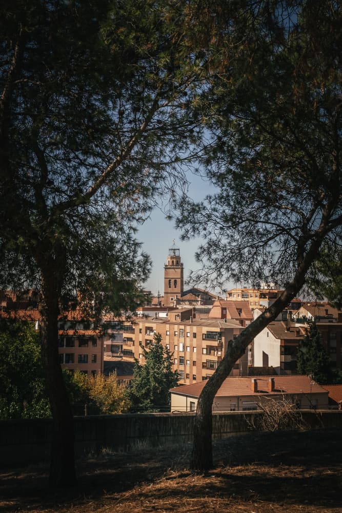 Quiet City Bell Tower by Aimee Giles — canvas wall art