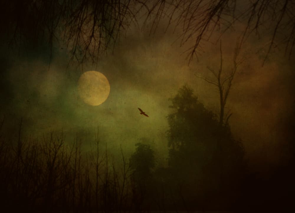 Mysterious Moon Flight by Robert Fabrowski — canvas wall art