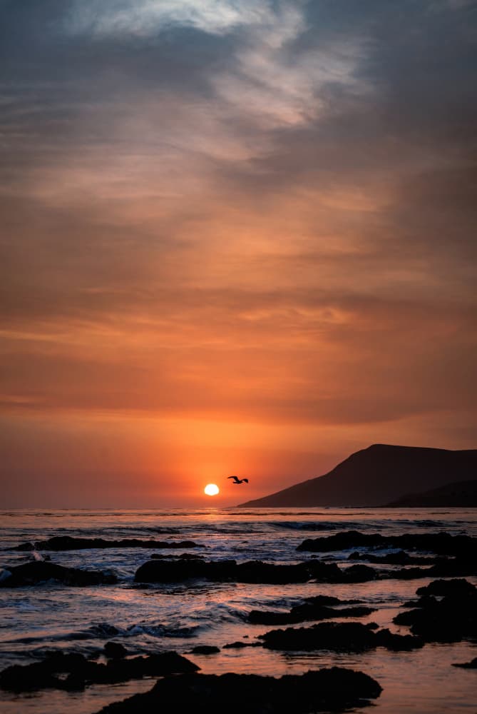 Coastal Sunset Flight by Tim Mossholder — canvas wall art