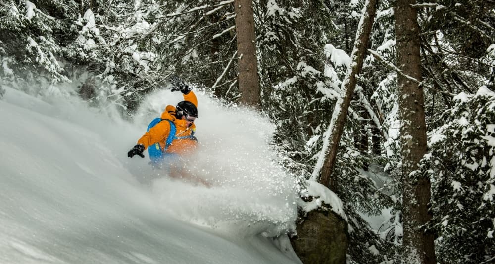 Winter Forest Powder Turn by Eric Verbiest — canvas wall art