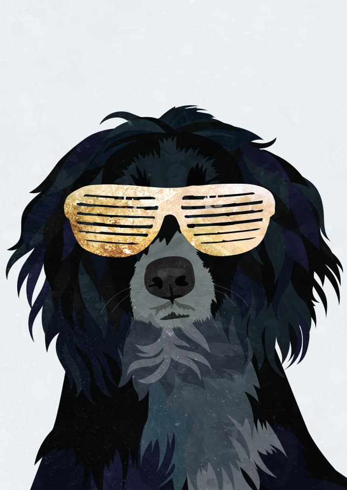 Golden Shutter Dog by Sarah Manovski — canvas wall art