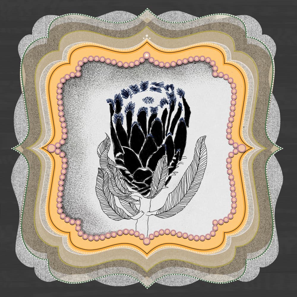 Elegant Protea Illustration by XHOZUCAN — canvas wall art
