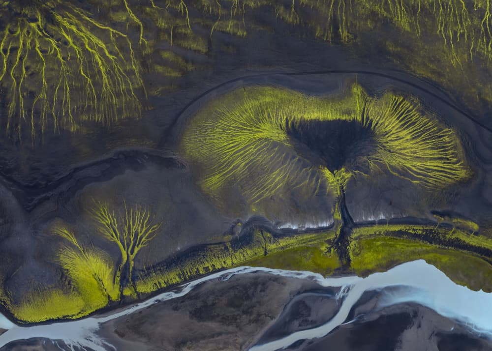 Vivid Green Earth Patterns by Willa Wei — canvas wall art