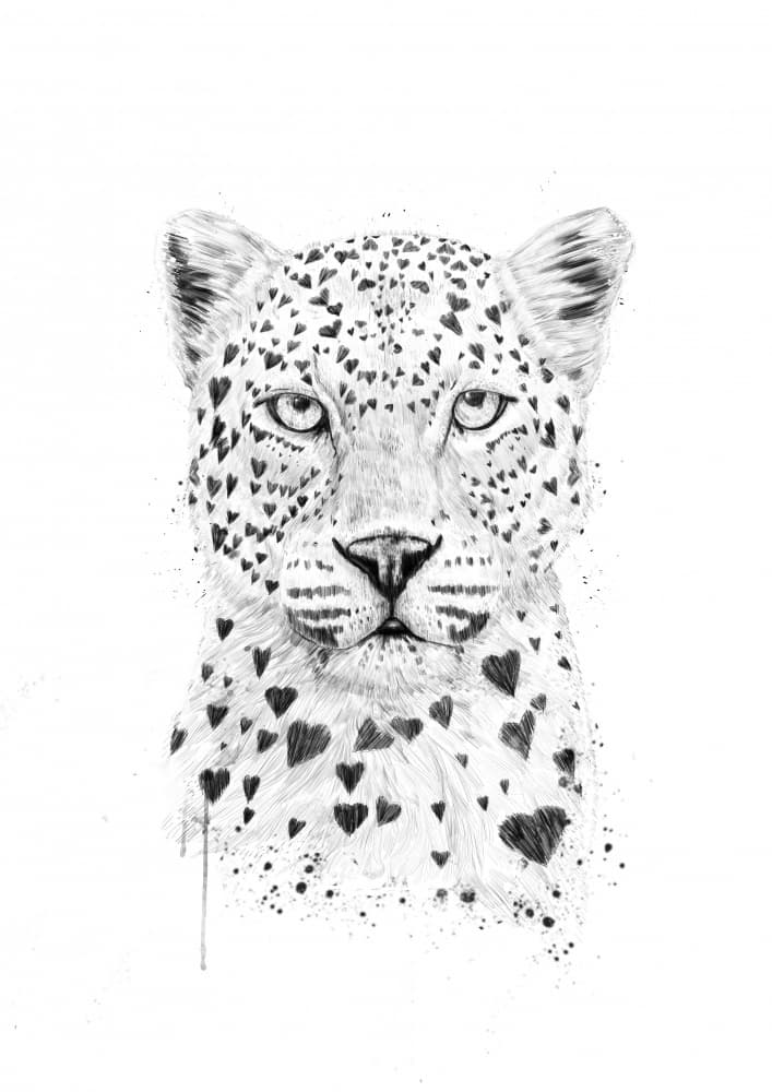 Heart Spotted Leopard by Balazs Solti — canvas wall art