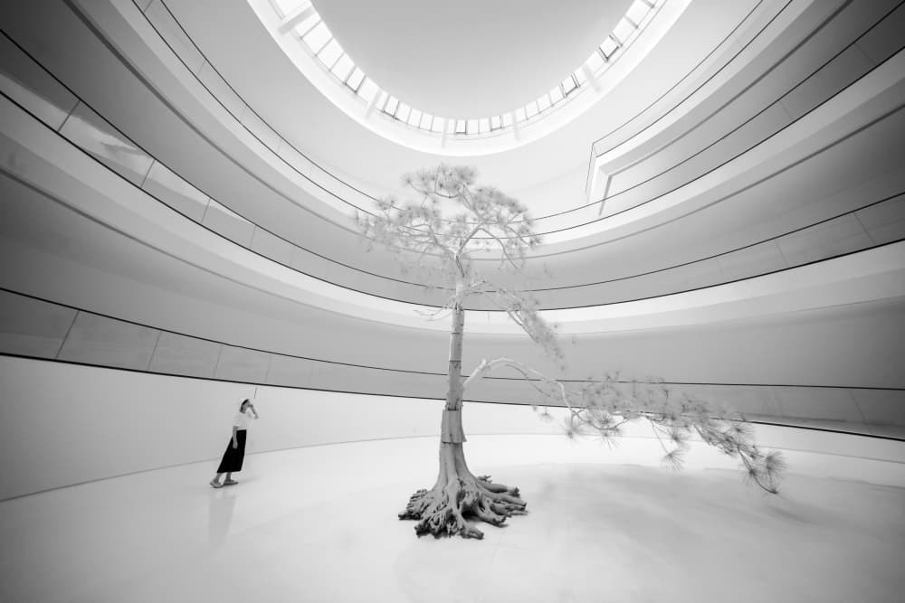 White Tree In Modern Space by konglingming — canvas wall art
