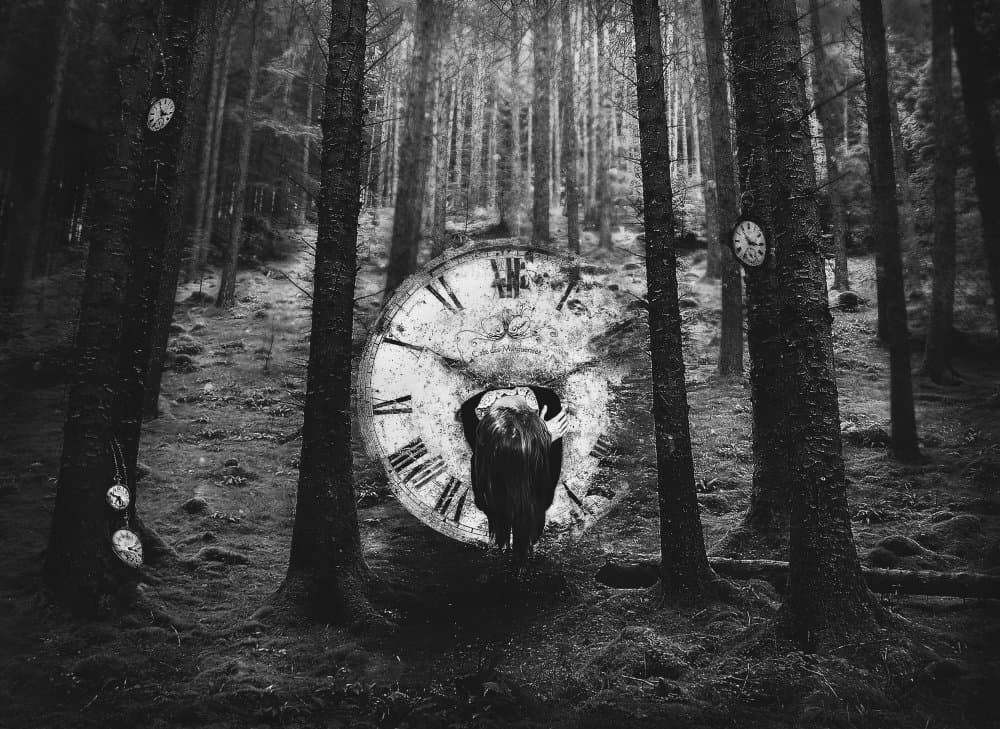 Forest of Time by Sandra Ulfig ARPS — canvas wall art
