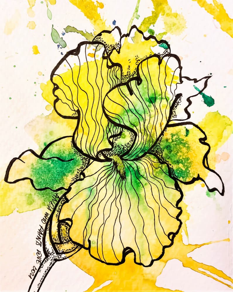 Vibrant Yellow Iris Bloom by Anda Bieza — canvas wall art