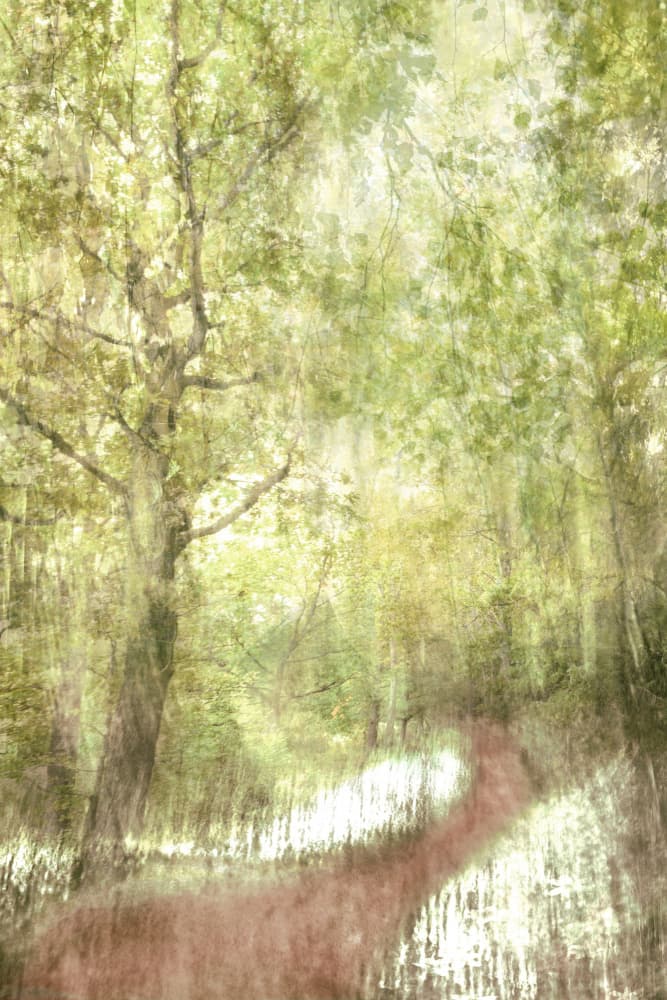 Peaceful Forest Deer by Christina Sillen — canvas wall art