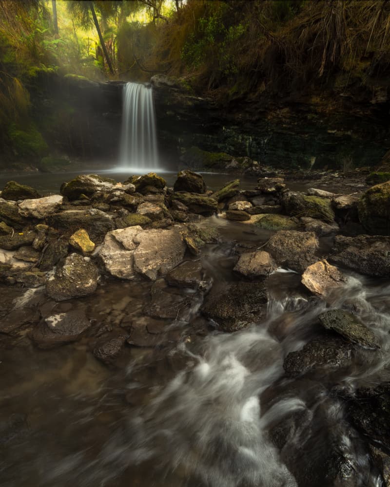 Misty Forest Waterfall by Jarred Wilson — canvas wall art