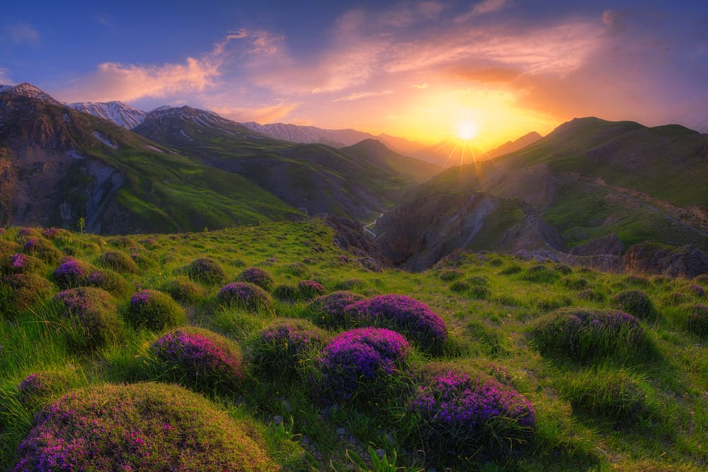 Vibrant Mountain Sunset by Saeed Younesi — canvas wall art