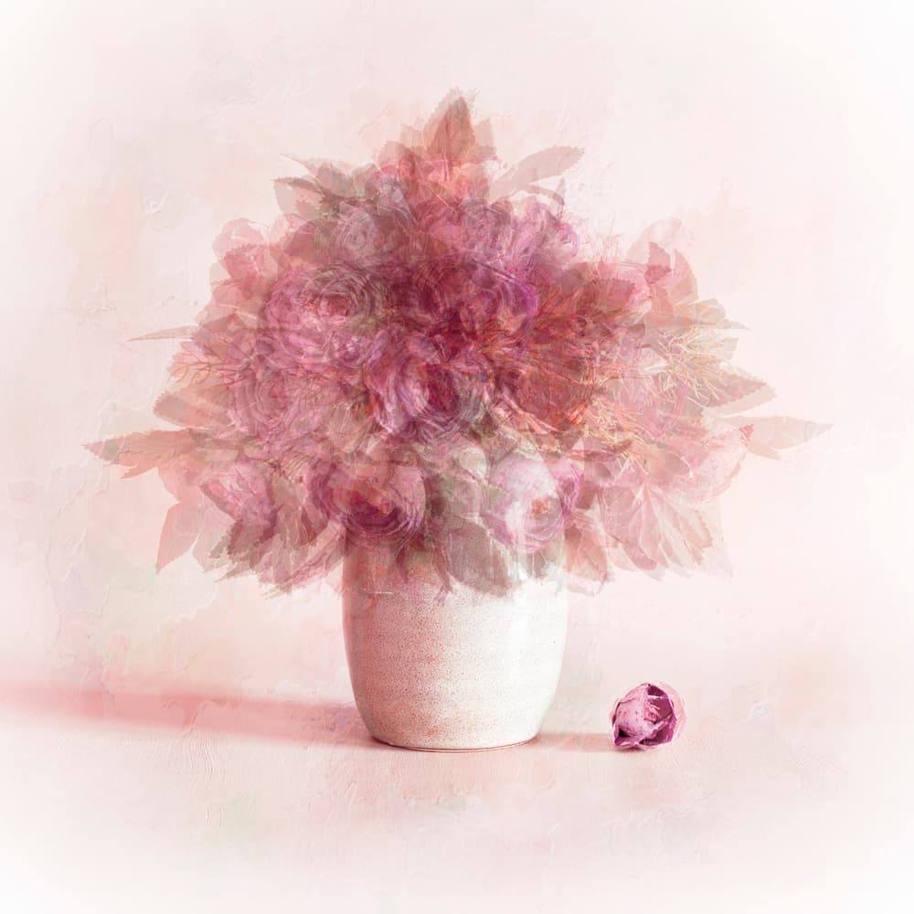 Dreamy Pink Flowers by Cicek Kiral — canvas wall art