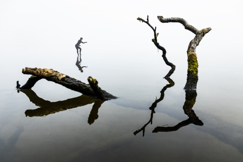 Misty Lake Solitude by Leszek Paradowski — canvas wall art