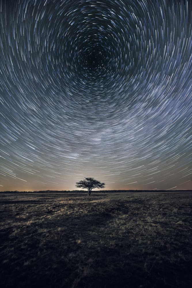 Lone Tree Star Trails by Magnus Renmyr — canvas wall art
