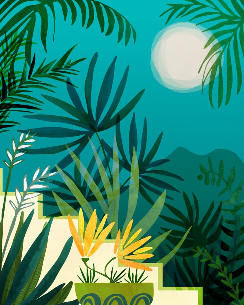 Rainforest With Moonlight by Kristian Gallagher — canvas wall art