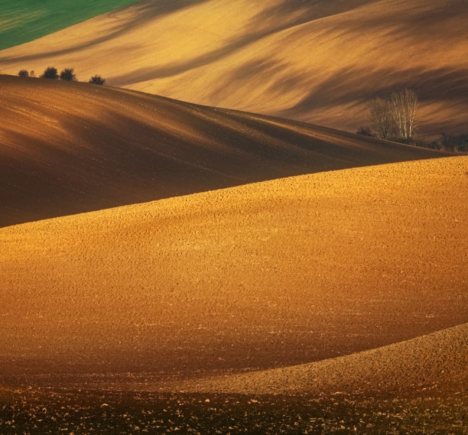 Golden Rolling Hills by Krzysztof Browko — canvas wall art