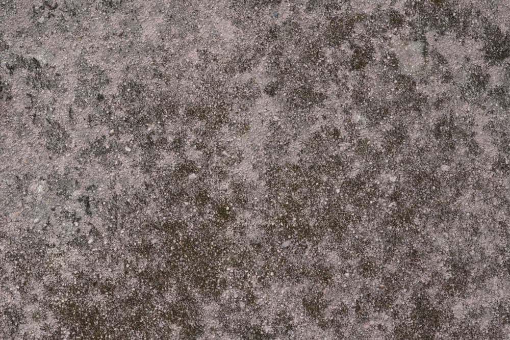 Gritty Grey Texture by Bilge Paksoylu — canvas wall art