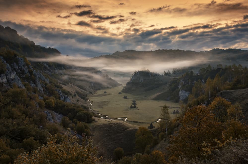 Misty Valley Stream by Grigore Roibu — canvas wall art
