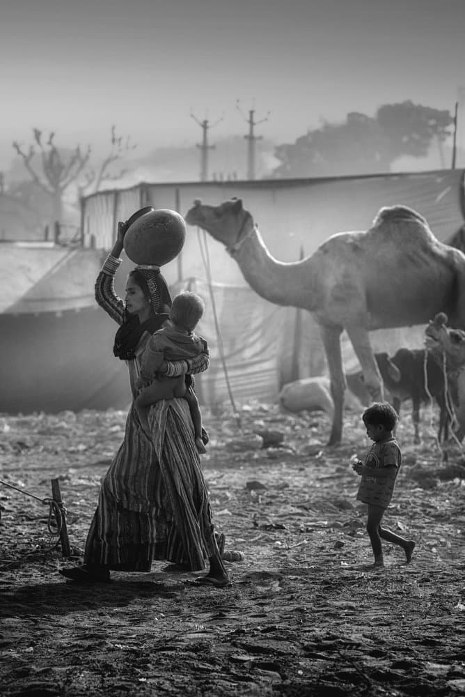 Daily Desert Life by Vivek Kalla — canvas wall art
