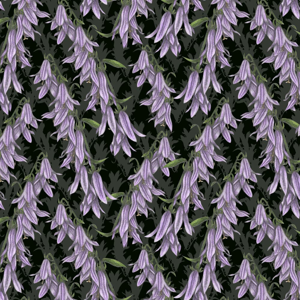 Purple Bellflower Pattern by Cecilia Battaini — canvas wall art