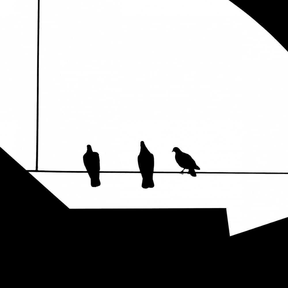 Pigeons On A Wire by Klaus Lenzen — canvas wall art