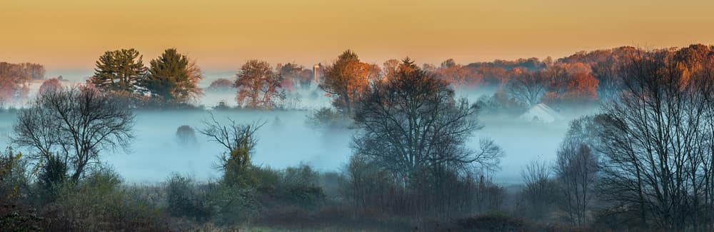 Misty Autumn Morning by David Hua — canvas wall art