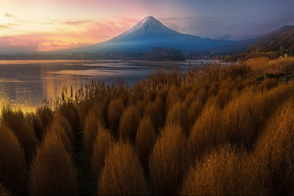 Mount Fuji Golden Hour by Yun Thwaits — canvas wall art