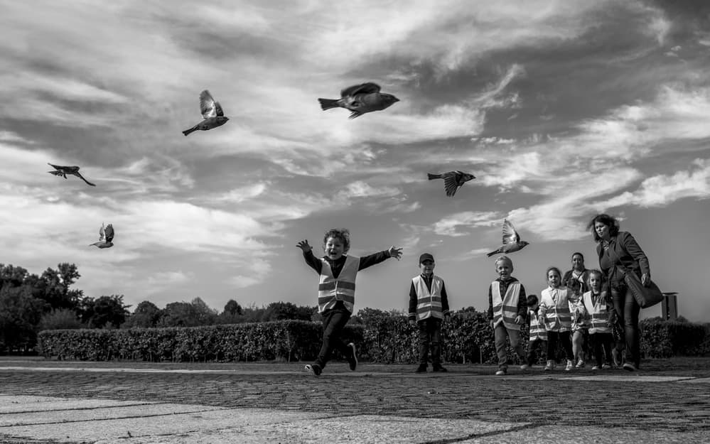 Happy Child Chasing Birds by Chris Coenders — canvas wall art