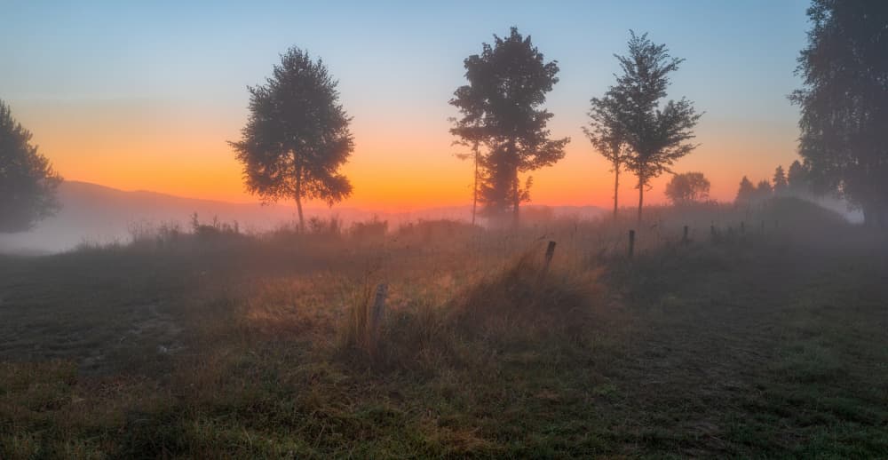 Misty Morning Serenity by Slawomir Kowalczyk AFRP FIAP IAAP — canvas wall art