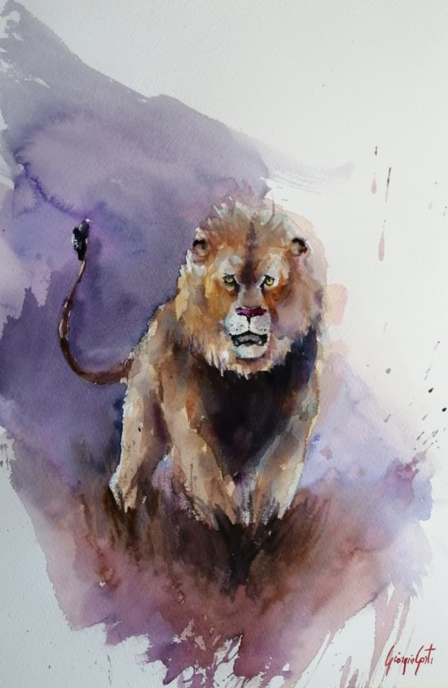Powerful Watercolor Lion by Giorgio Gosti — canvas wall art