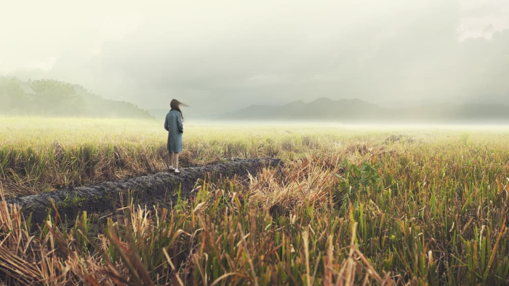 Woman in Misty Field by Rudi Gunawan — canvas wall art