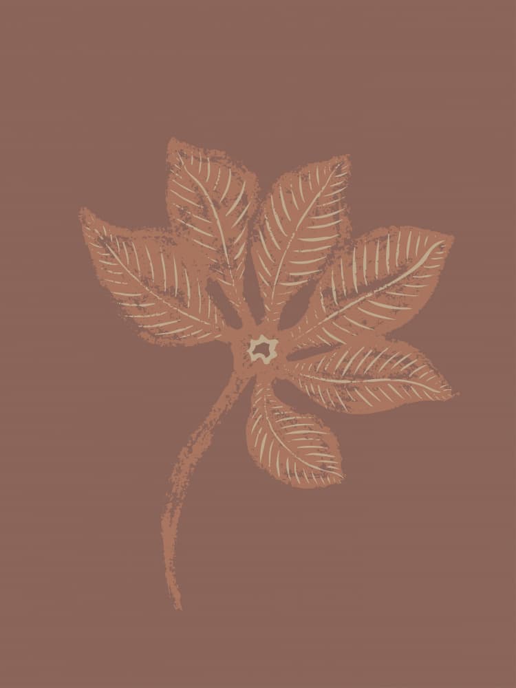 Textured Botanical Leaf by Nikita Jariwala — canvas wall art