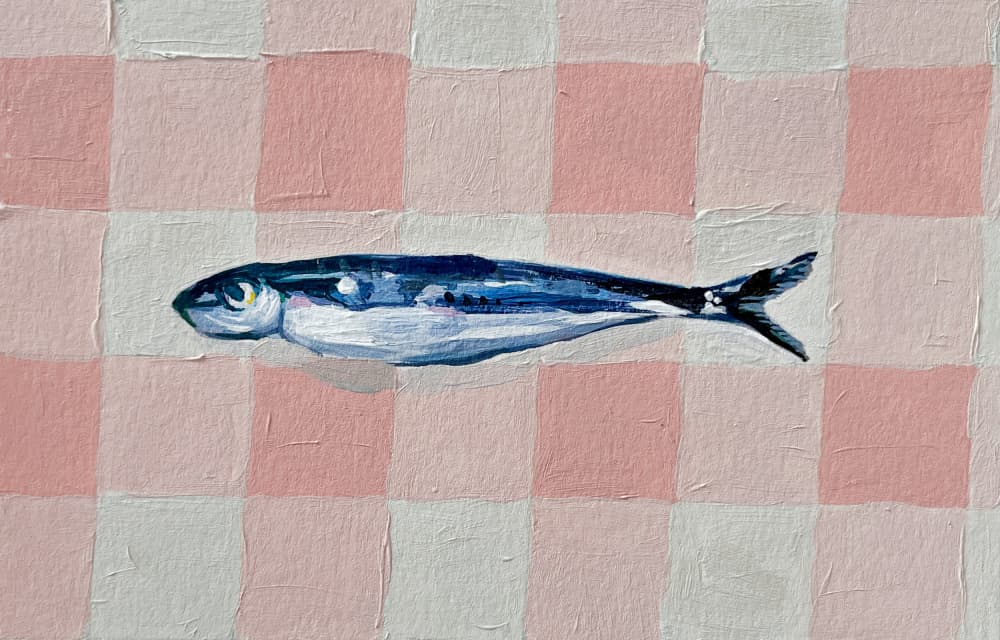 Pink Checkered Sardine by Madison Phipps — canvas wall art