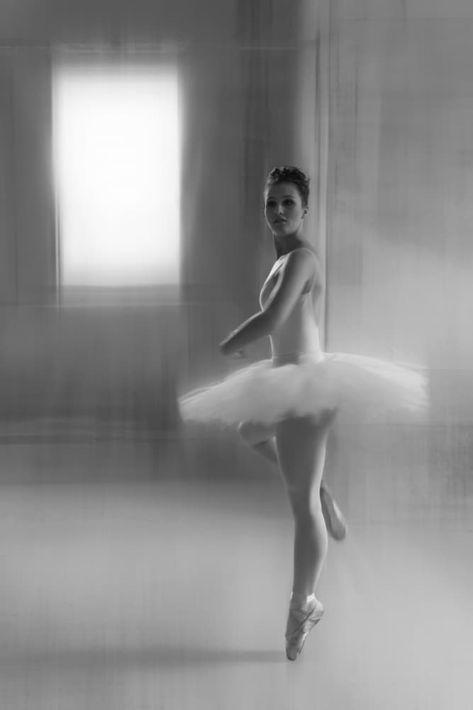 Graceful Ballerina Pose by Roswitha Schleicher-Schwarz — canvas wall art