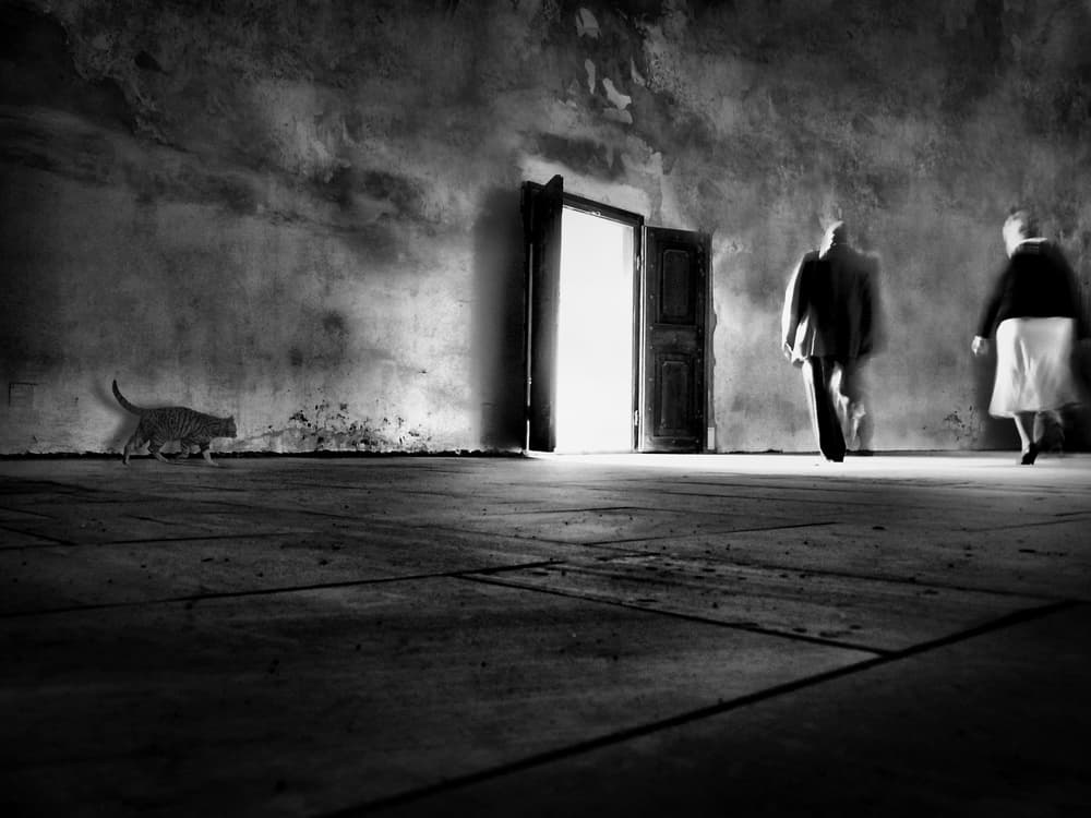 Walking Into Light by Wojciech Pokora — canvas wall art