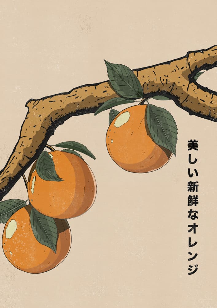 Beautiful Fresh Oranges by Nicholas — canvas wall art