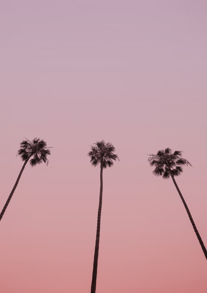 Pink Sky Trio by Shot by Clint — canvas wall art