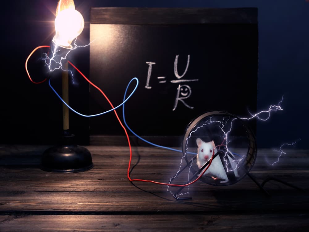 Electric Mouse Experiment by Floriana Barbu — canvas wall art