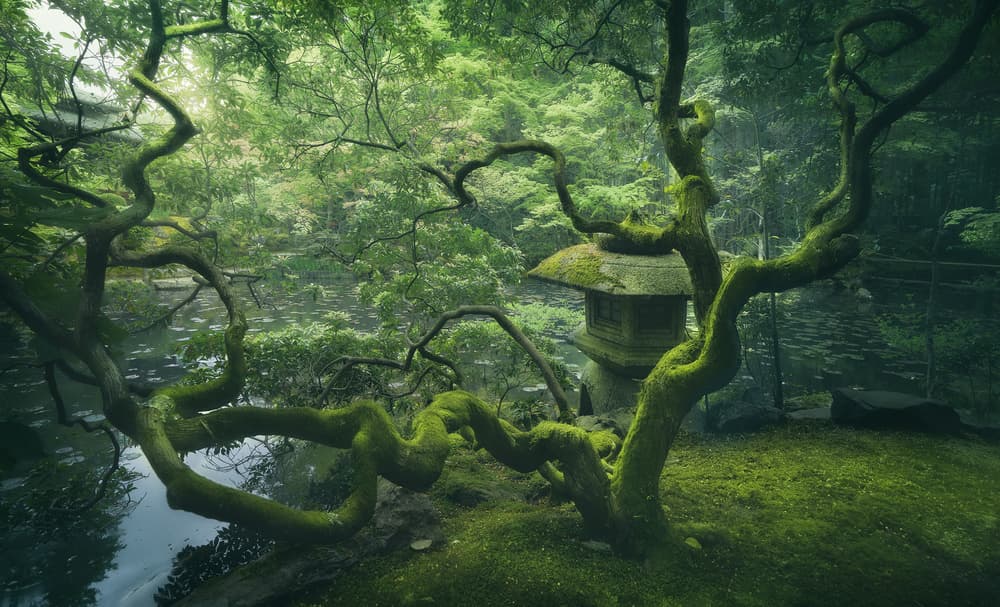 Mossy Garden Lantern by Javier de la Torre — canvas wall art