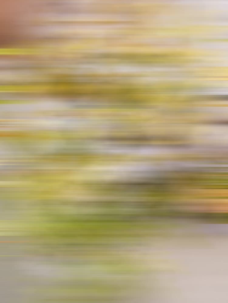 Blurry Flowers by Raisa Zwart — canvas wall art