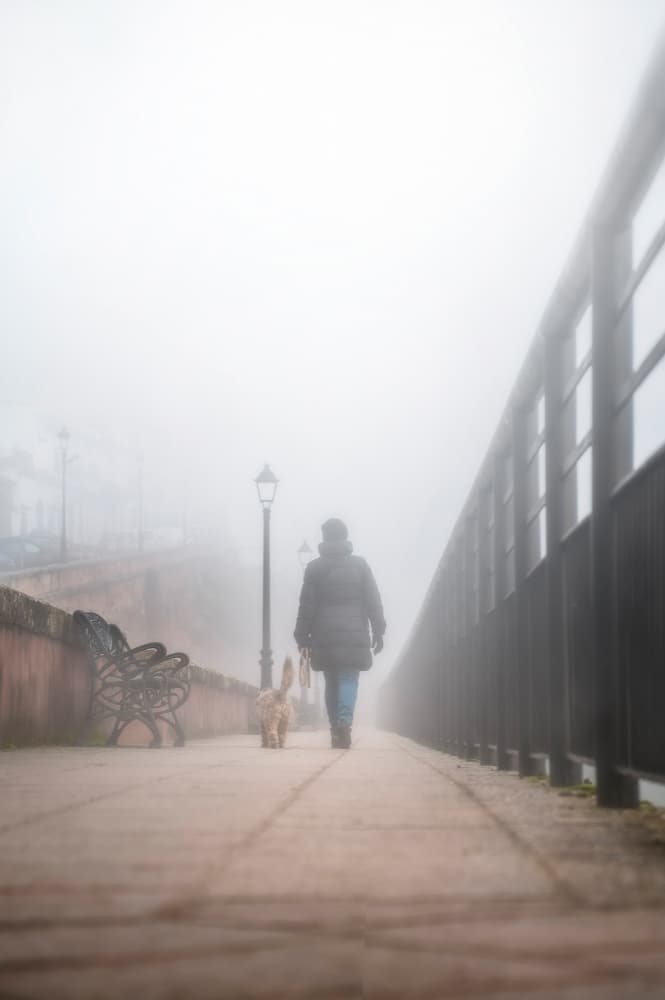 Foggy Morning Walk by Juan Luis Seco — canvas wall art