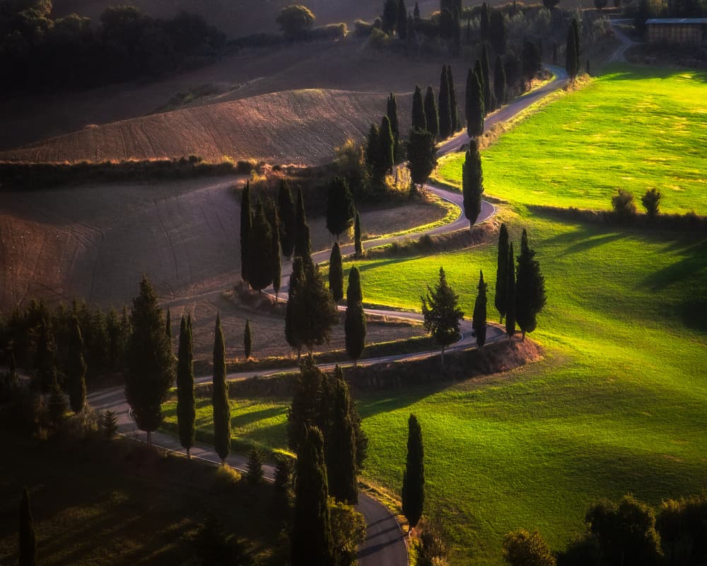 Tuscan Winding Road by Sebastian Prioteasa — canvas wall art