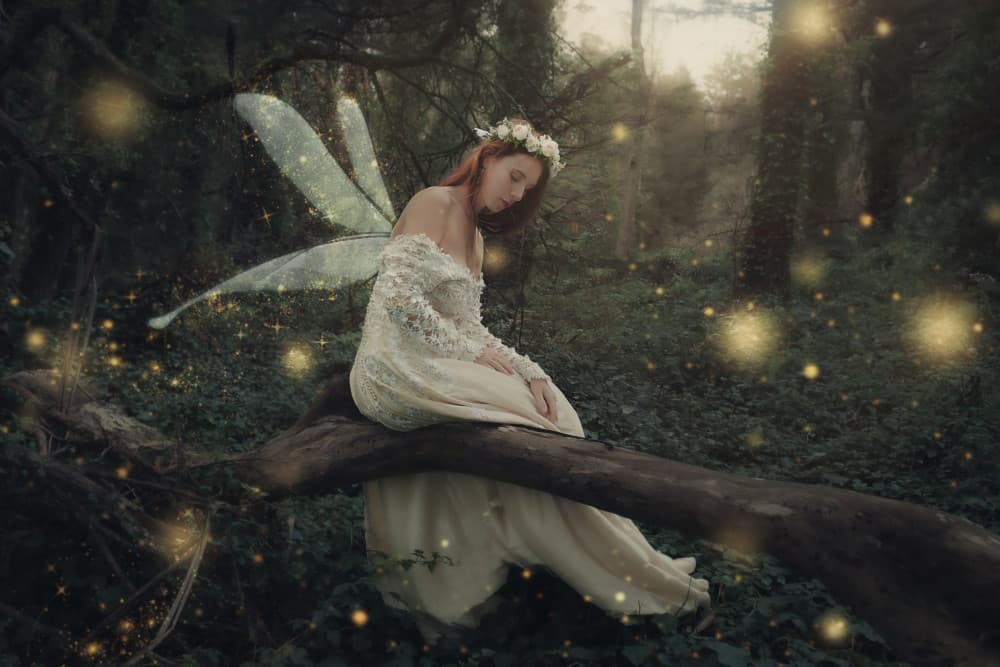 Enchanted Forest Fairy by Kiki Yuan — canvas wall art